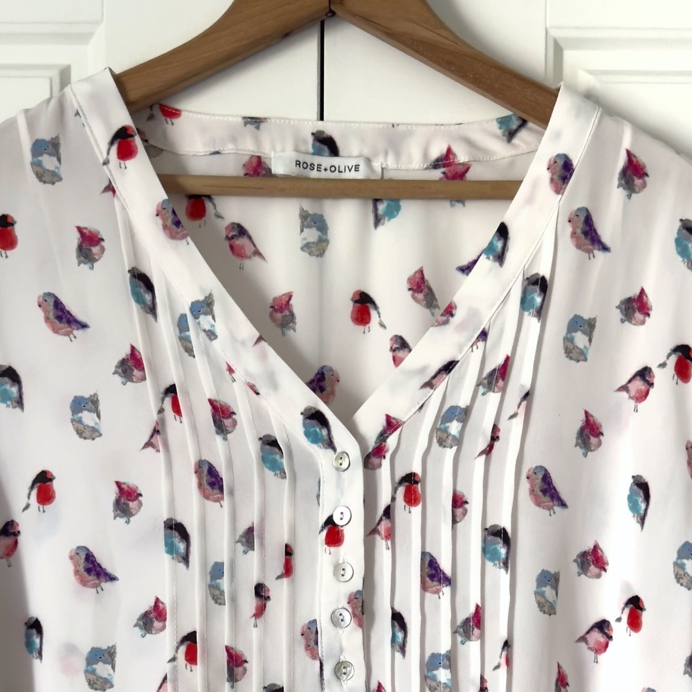 Rose Olive Popover Tunic Blouse Womens 1X White Colorful Birds Chiffon Cottage